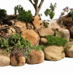 Boulders | Plum Creek Boulder