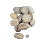 Mexican Beach Pebble 1- 2 Buff Mexican Beach Pebble (2) Mexican Beach Pebble 1- 2 Buff Mexican Beach Pebble