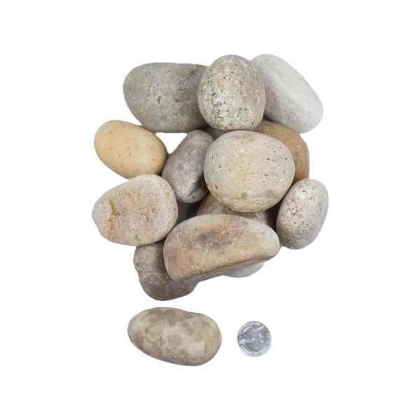 Mexican Beach Pebble 1- 2 Buff Mexican Beach Pebble