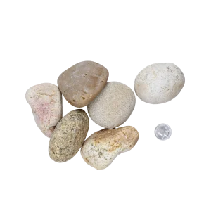 Mexican Beach Pebble 2- 3 Buff Mexican Beach Pebble