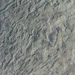 Bluestone Touch-Up Skin Concrete Stamp