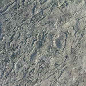 Proline Blue Stone Touch Up Skin Concrete Stamp