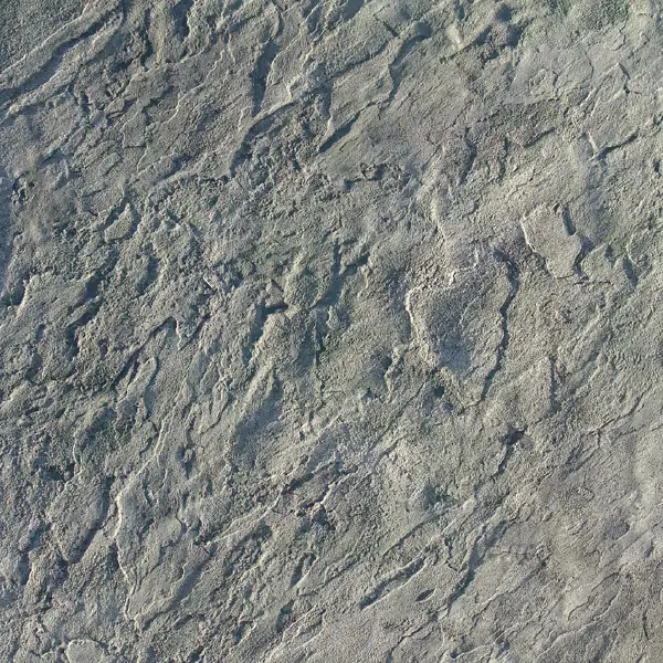 Proline Blue Stone Touch Up Skin Concrete Stamp